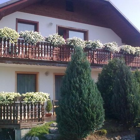 Apartmaji Sparakel Bled Zewnętrze zdjęcie